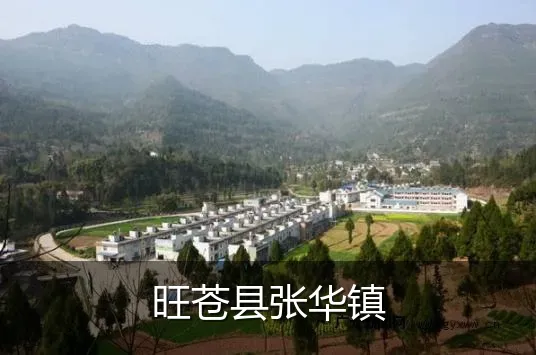 旺苍县张华镇