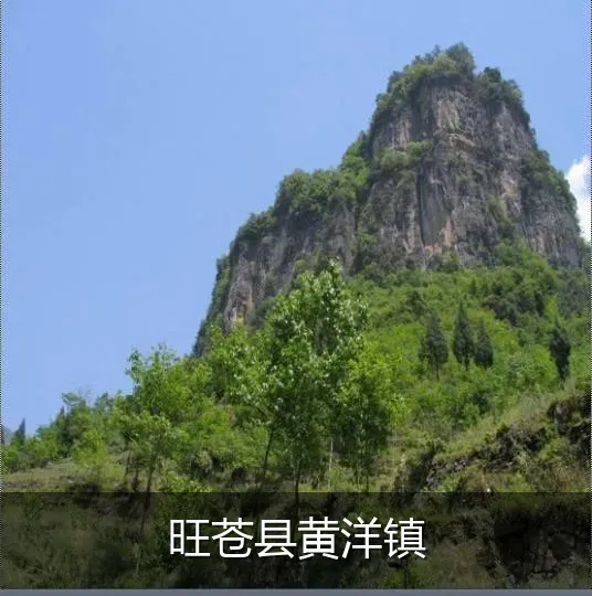 旺苍县黄洋镇